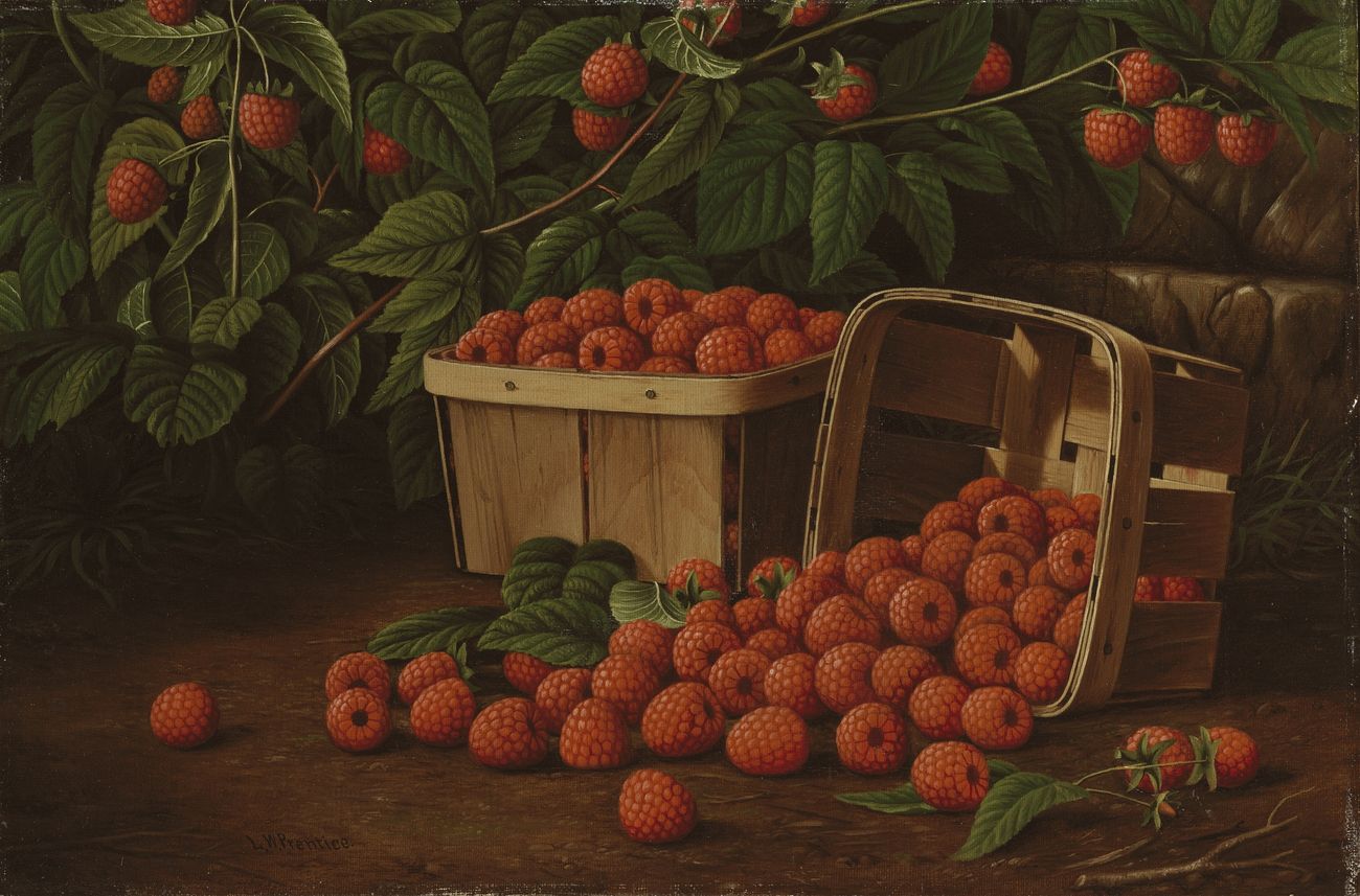 Raspberries in Basket (Raspberries and